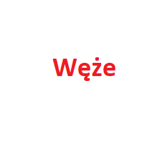 Węże